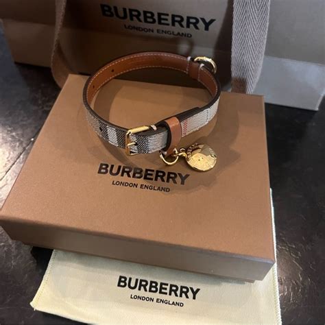 burberry pet jaren tachtig|burberry dog collar.